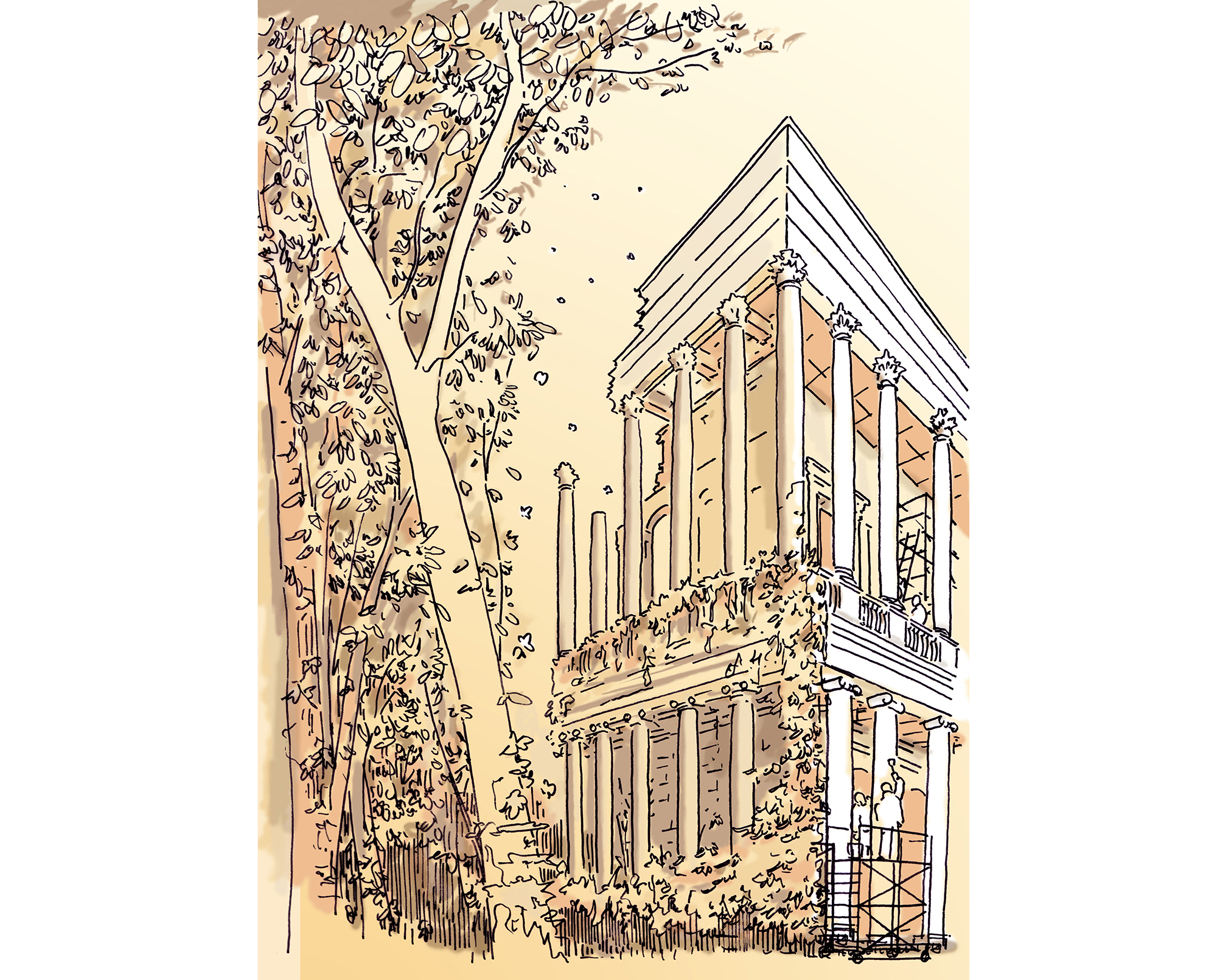 Illustration Project